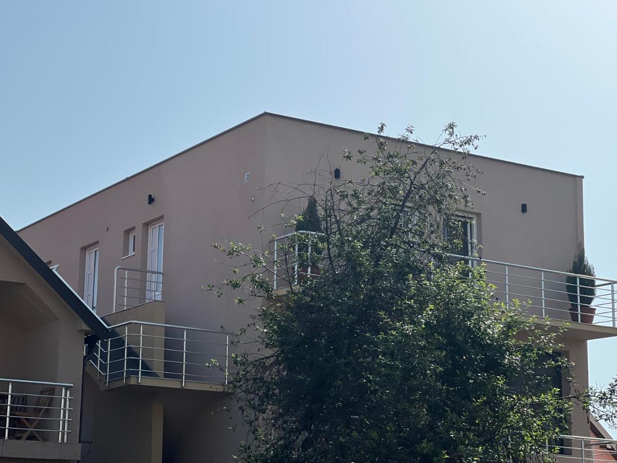 Apartman Scepanovic Apartment Niksic Exterior photo